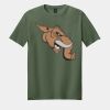 Softstyle ® T Shirt Thumbnail