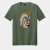 Softstyle ® T Shirt Thumbnail