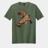 Softstyle ® T Shirt Thumbnail