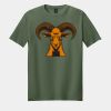 Softstyle ® T Shirt Thumbnail
