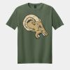 Softstyle ® T Shirt Thumbnail