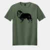Softstyle ® T Shirt Thumbnail