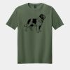 Softstyle ® T Shirt Thumbnail