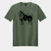 Softstyle ® T Shirt Thumbnail
