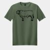 Softstyle ® T Shirt Thumbnail