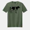 Softstyle ® T Shirt Thumbnail