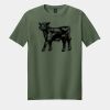 Softstyle ® T Shirt Thumbnail