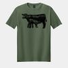 Softstyle ® T Shirt Thumbnail