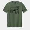 Softstyle ® T Shirt Thumbnail