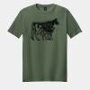 Softstyle ® T Shirt Thumbnail