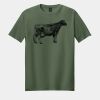 Softstyle ® T Shirt Thumbnail