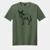 Softstyle ® T Shirt Thumbnail