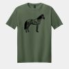 Softstyle ® T Shirt Thumbnail