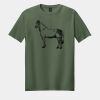 Softstyle ® T Shirt Thumbnail