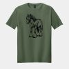 Softstyle ® T Shirt Thumbnail