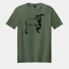 Softstyle ® T Shirt Thumbnail