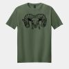 Softstyle ® T Shirt Thumbnail