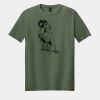 Softstyle ® T Shirt Thumbnail