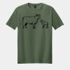 Softstyle ® T Shirt Thumbnail