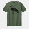 Softstyle ® T Shirt Thumbnail