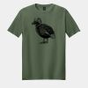 Softstyle ® T Shirt Thumbnail