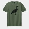 Softstyle ® T Shirt Thumbnail