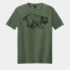 Softstyle ® T Shirt Thumbnail