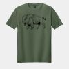 Softstyle ® T Shirt Thumbnail