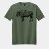 Softstyle ® T Shirt Thumbnail