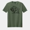 Softstyle ® T Shirt Thumbnail