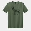 Softstyle ® T Shirt Thumbnail