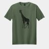 Softstyle ® T Shirt Thumbnail