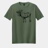 Softstyle ® T Shirt Thumbnail