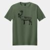 Softstyle ® T Shirt Thumbnail