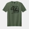 Softstyle ® T Shirt Thumbnail