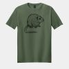 Softstyle ® T Shirt Thumbnail