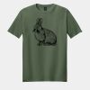 Softstyle ® T Shirt Thumbnail