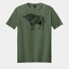 Softstyle ® T Shirt Thumbnail