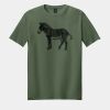 Softstyle ® T Shirt Thumbnail