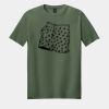 Softstyle ® T Shirt Thumbnail