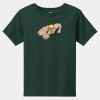 Toddler Short Sleeve Tee Thumbnail