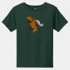 Toddler Short Sleeve Tee Thumbnail