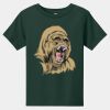 Toddler Short Sleeve Tee Thumbnail