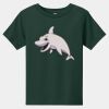 Toddler Short Sleeve Tee Thumbnail