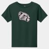 Toddler Short Sleeve Tee Thumbnail