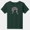 Toddler Short Sleeve Tee Thumbnail