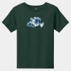 Toddler Short Sleeve Tee Thumbnail