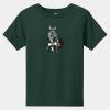 Toddler Short Sleeve Tee Thumbnail