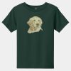 Toddler Short Sleeve Tee Thumbnail