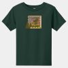 Toddler Short Sleeve Tee Thumbnail